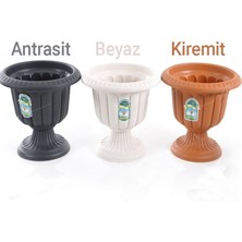 Ucuzz Avm Nergis Saksı 47,6X47,4 cm 25,3 Lt Krem Saksı Ayaklı Saksı Plastik Saksı Çiçek Saksısı Bahçe Saksısı