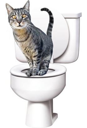 Zabata Kedi Kumu Kabı Citikitty Tuvaleti Eğitimi Tuvalet Kabı Klozet Kapağı Aparatı Kapalı Alıştırıcı Set