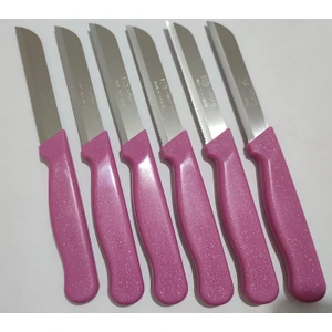 Meyve Sebze Bıçağı 6 Adet Simli Desen  (1.Kalite,Tırtıklı)
