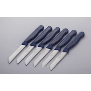 Meyve Sebze Bıçağı 6 Adet Simli Desen Lacivert