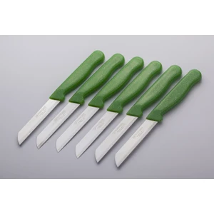 Meyve Sebze Bıçağı 6 Adet Simli Desen  (1.Kalite,Tırtıklı)