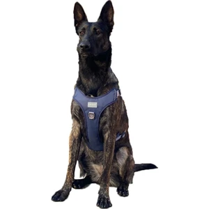 Cecepet Cool Walk Premium Köpek Göğüs Tasması