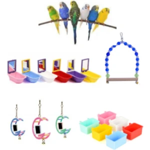 Fit Fly Kuş Aksesuar Oyuncak Set