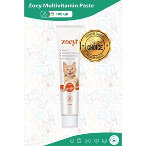 Kedi Multivitamin Paste 12 Farklı Vitamin 9 Farklı Mineral Takviye Gıda 100 gr