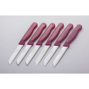 Meyve Sebze Bıçağı 6 Adet Simli Desen Vişne (1.kalite,tırtıklı)