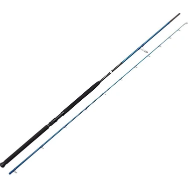 Savage Gear Sgs2 Shore Jigging 10'/3.05M 30-100 gr 2