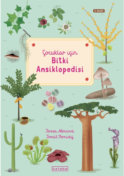 Çocuklar Için Bitki Ansiklopedisi (Ciltli) - Tereza Nemcova