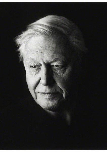 David Attenborough Siyah Beyaz Yırtık Tablo Ahşap Poster Dekoratif