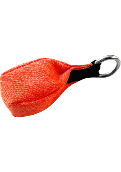 Tırmanış Yardımcı Ekipmanı Klips (Yurt Dışından)