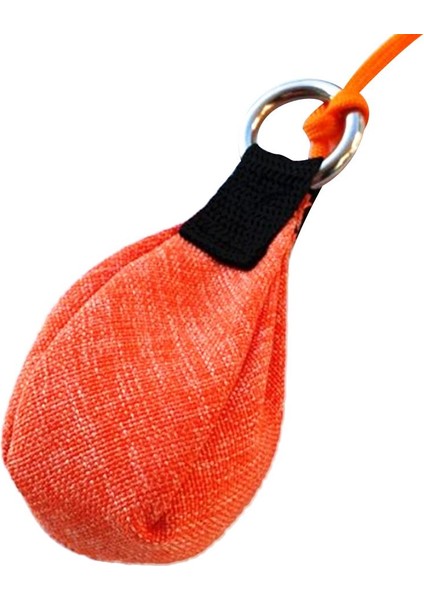 Tırmanış Yardımcı Ekipmanı Klips (Yurt Dışından) fırsatları
