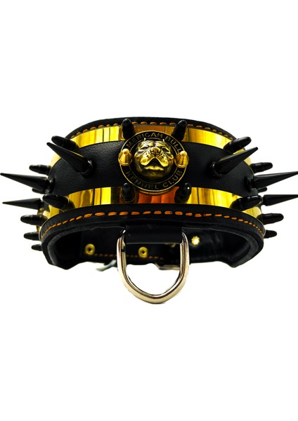 Çivili American Bully Deri Köpek Boyun Tasması Siyah - Sarı