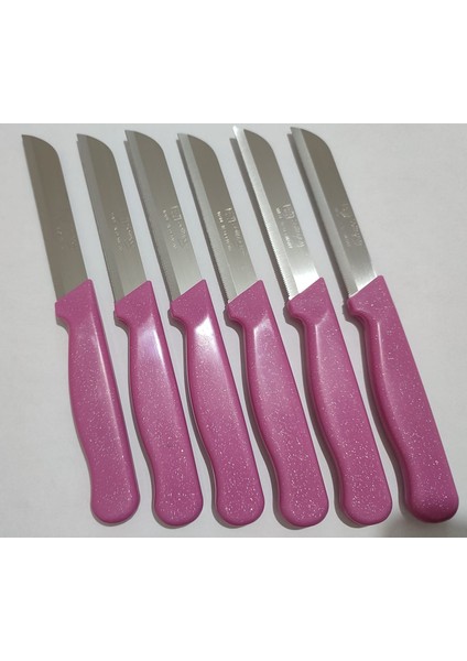 Meyve Sebze Bıçağı 6 Adet Simli Desen (1.Kalite,Tırtıklı)