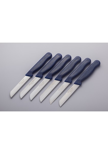 Meyve Sebze Bıçağı 6 Adet Simli Desen Lacivert