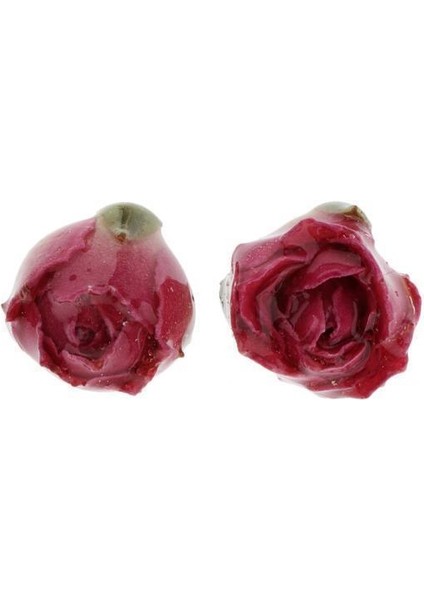 2x Moda Kurutulmuş Gül Küpe Dekor Kulak Damızlık Kolye Dıy Küpe Takı Kırmızı (Yurt Dışından)
