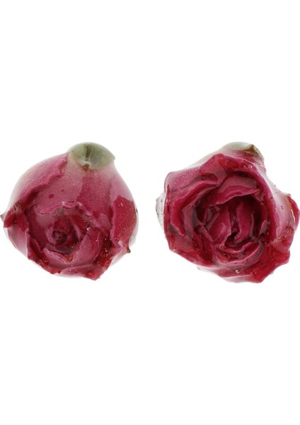 2x Moda Kurutulmuş Gül Küpe Dekor Kulak Damızlık Kolye Dıy Küpe Takı Kırmızı (Yurt Dışından) fiyatları