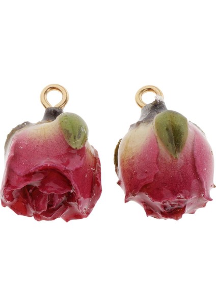 2x Moda Kurutulmuş Gül Küpe Dekor Kulak Damızlık Kolye Dıy Küpe Takı Kırmızı (Yurt Dışından) modelleri