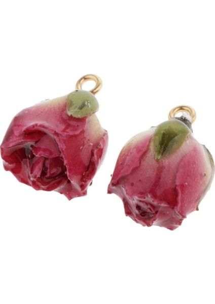 2x Moda Kurutulmuş Gül Küpe Dekor Kulak Damızlık Kolye Dıy Küpe Takı Kırmızı (Yurt Dışından) indirimleri