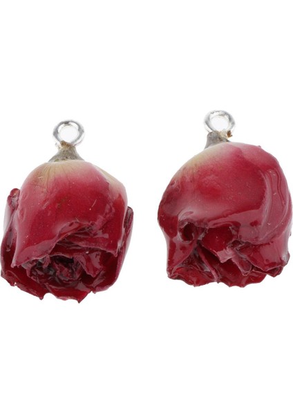 2x 2 x Gül Çiçek Charm Kolye Dıy Küpe Için Reçine Kurutulmuş Çiçek El Sanatları (Yurt Dışından) fiyatları