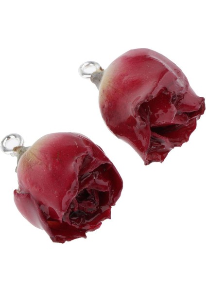 2x 2 x Gül Çiçek Charm Kolye Dıy Küpe Için Reçine Kurutulmuş Çiçek El Sanatları (Yurt Dışından) fırsatları