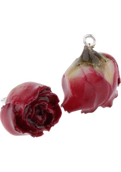2x 2 x Gül Çiçek Charm Kolye Dıy Küpe Için Reçine Kurutulmuş Çiçek El Sanatları (Yurt Dışından) indirimleri