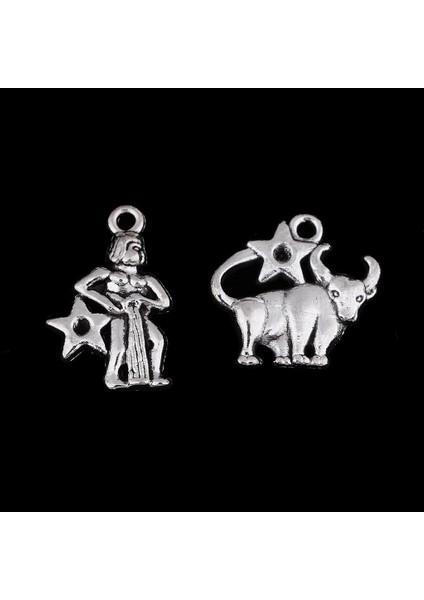 2x 24 Adet Gümüş Takımyıldızlar Charms Kolye Dıy Bilezik Zinciri Için (Yurt Dışından)