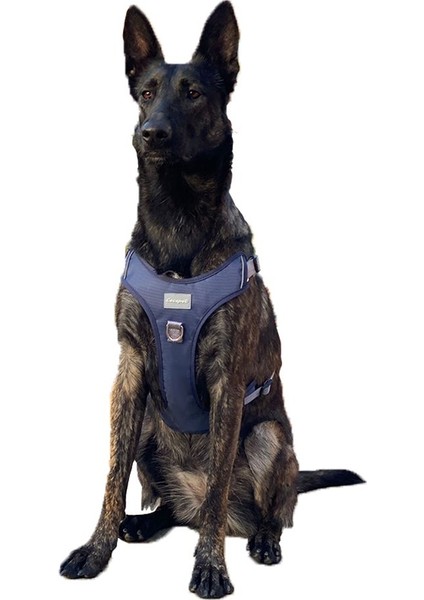 Cecepet Cool Walk Premium Köpek Göğüs Tasması