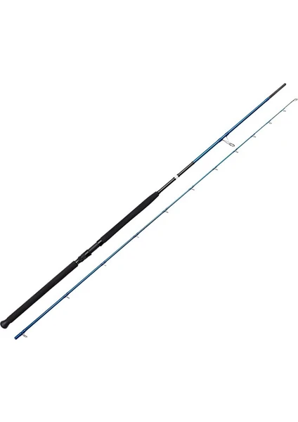 Savage Gear Sgs2 Shore Jigging 10'/3.05M 30-100 gr 2 Parça