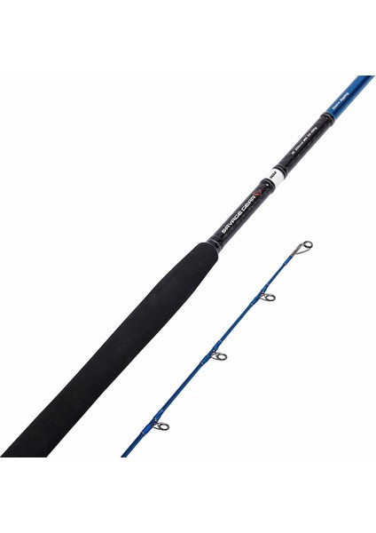 Sgs2 Shore Jigging 10'/3.05M 30-100 gr 2 Parça