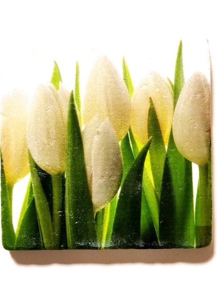 Dekoratif Figürlü Doğal Taş Gider Kapağı Banyo Süsü Tekli 10X10 cm