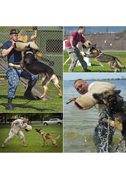 Köpek Isırık Kollu Eğitim Ekipmanları Çiğneme Için Kırbaç Çırpma Sopa ile(Yurt Dışından)