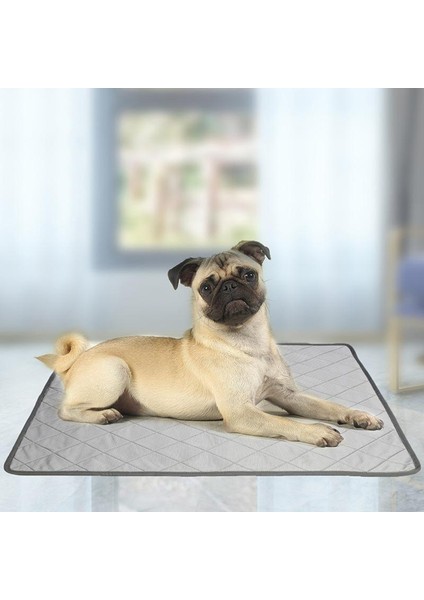 Kedi Köpek Eğitim Çöp Pedi Yavru Yoksu Çöp Tepsisi Yıkanabilir Yeniden Kullanılabilir M(Yurt Dışından)