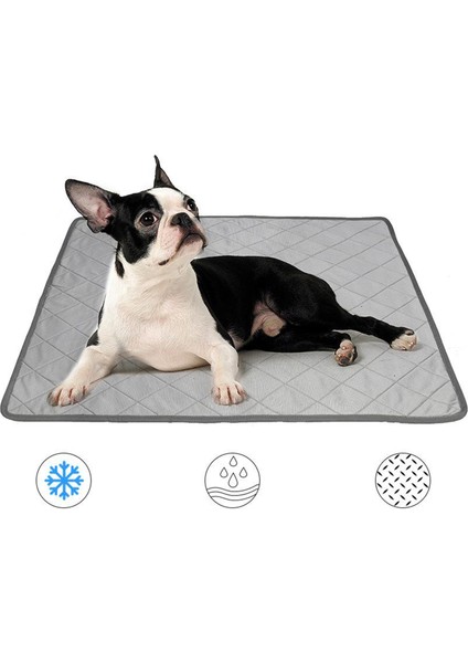 Kedi Köpek Eğitim Çöp Pedi Yavru Yoksu Çöp Tepsisi Yıkanabilir Yeniden Kullanılabilir M(Yurt Dışından)