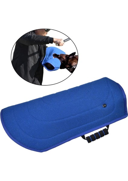 Köpek Eğitim Kolluk (Yurt Dışından) fırsatları