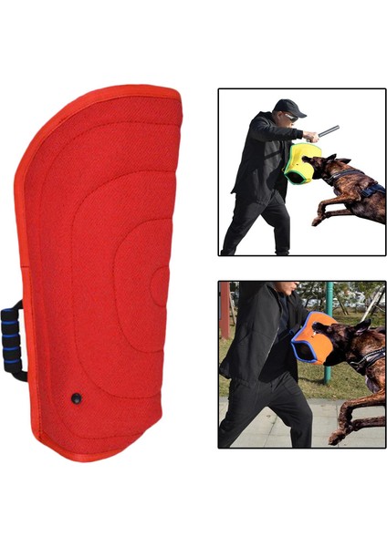 Köpek Eğitim Kolluk (Yurt Dışından) modelleri