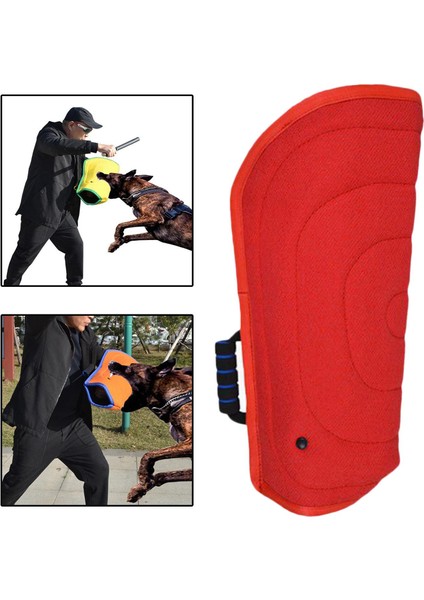 Köpek Eğitim Kolluk (Yurt Dışından) fırsatları