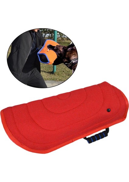 Köpek Eğitim Kolluk (Yurt Dışından) indirimleri