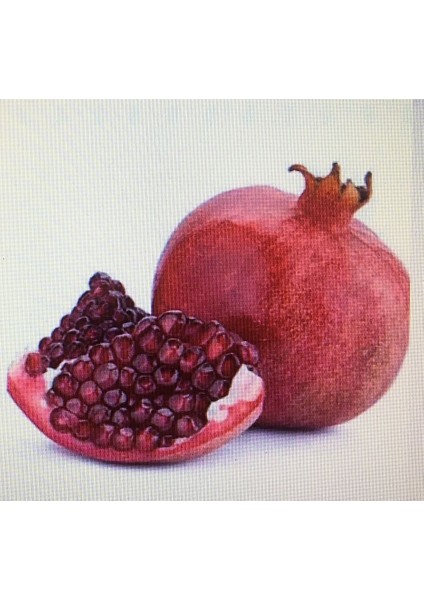 Doğal Nar Ekşisi fiyatları