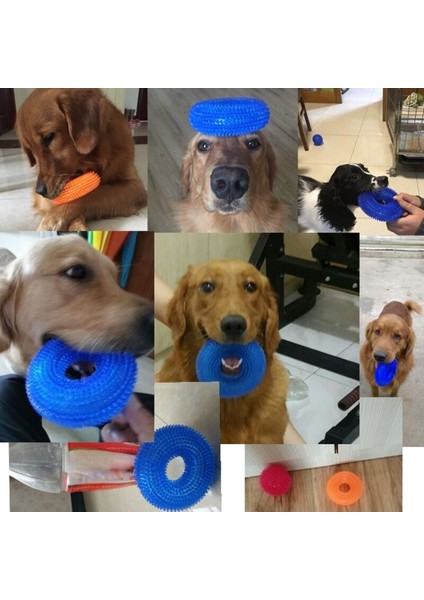 Dayanıklı Köpek Çiğneme Oyuncakları Köpek Squeaker Kauçuk (Yurt Dışından) fırsatları