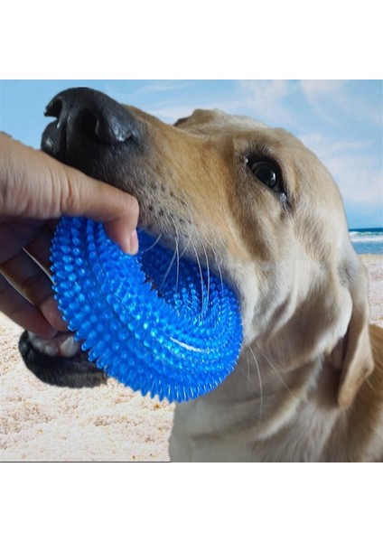 Dayanıklı Köpek Çiğneme Oyuncakları Köpek Squeaker Kauçuk (Yurt Dışından) indirimleri