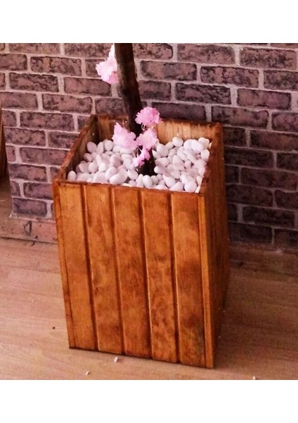 Pembe Bahardalı Ağacı 1.90 Metre Boyunda Çam Ağacı Lambiri Saksıda Pembe Yaz Ağacı Çiçek Bitki modelleri