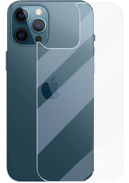 Apple iPhone 12 Maxi Glass Arka Temperli Cam Koruyucu