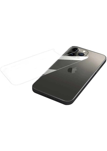 Apple iPhone 12 Mini Maxi Glass Arka Temperli Cam Koruyucu