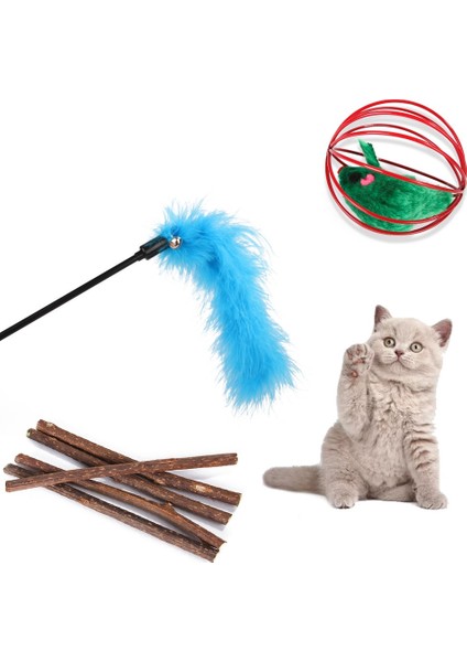 Kedi Aktivite Oyuncağı (Yurt Dışından) fırsatları