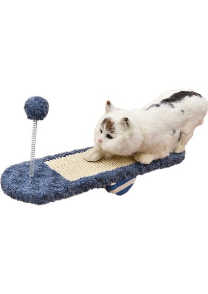 Kedi Aktivite Oyuncağı (Yurt Dışından)