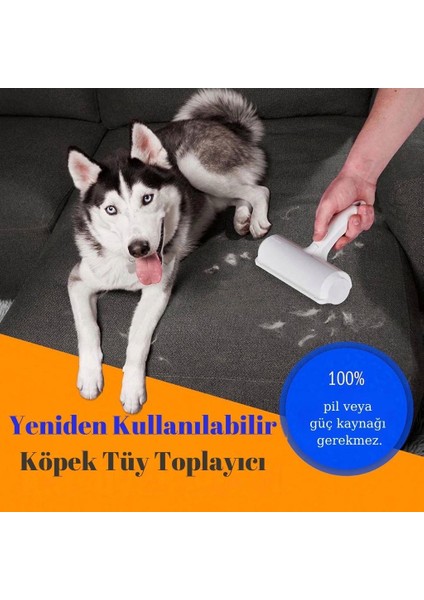 Hazneli Kedi Köpek Tüy Temizleyici Kıl Toz Toplayıcı Kazak Halı Tiftik Temizleyici Gırgır 2 Yönlü