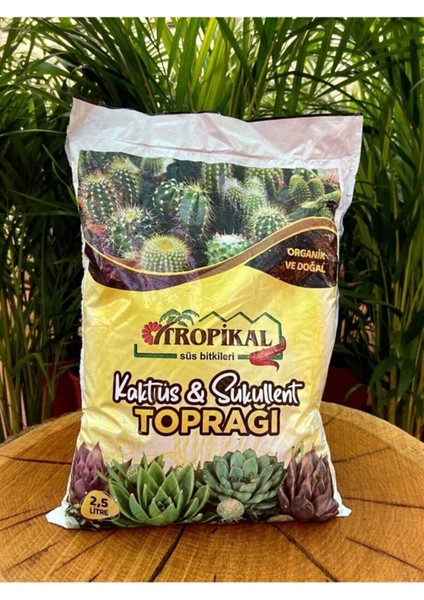 Kaktüs Ve Sukulent Için Bitki Toprağı 2,5 Lt