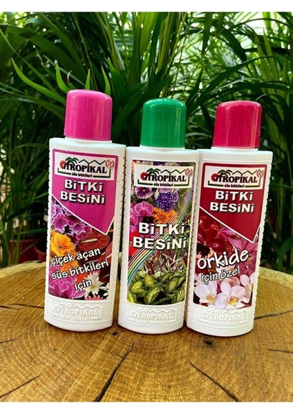 Bitki Besin Seti Orkide Bitki Besini Genel Bitki Besini Çiçek Açan Süs Bitkileri Besini