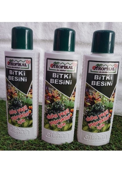 Yeşil Yapraklı Bitkiler Için Bitki Besini 3 Adet 225 Ml Sıvı Gübre Benjamin Besini Bitki Vitamini