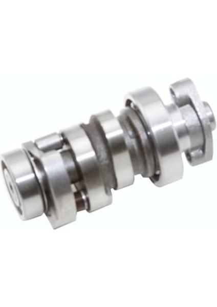 SPACY110 Ekzantrik Mil fiyatları