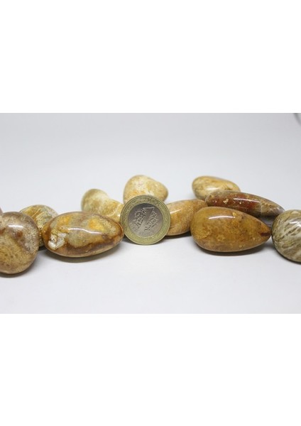 Tibet Akik Taşı ( 20-29 Gram) fiyatları